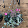 14” Deluxe Wicker Hanging Basket - Plantila