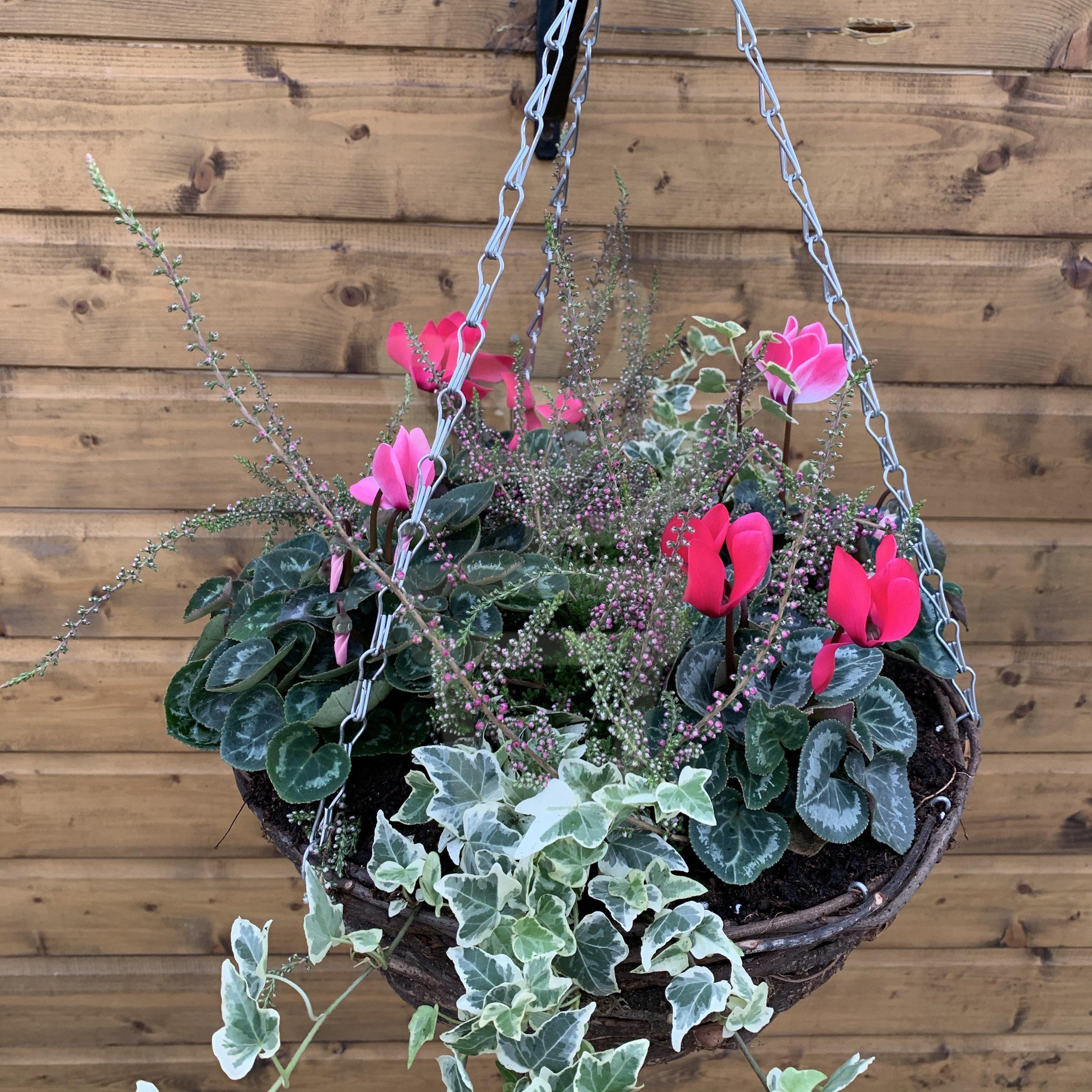 14” Deluxe Wicker Hanging Basket - Plantila