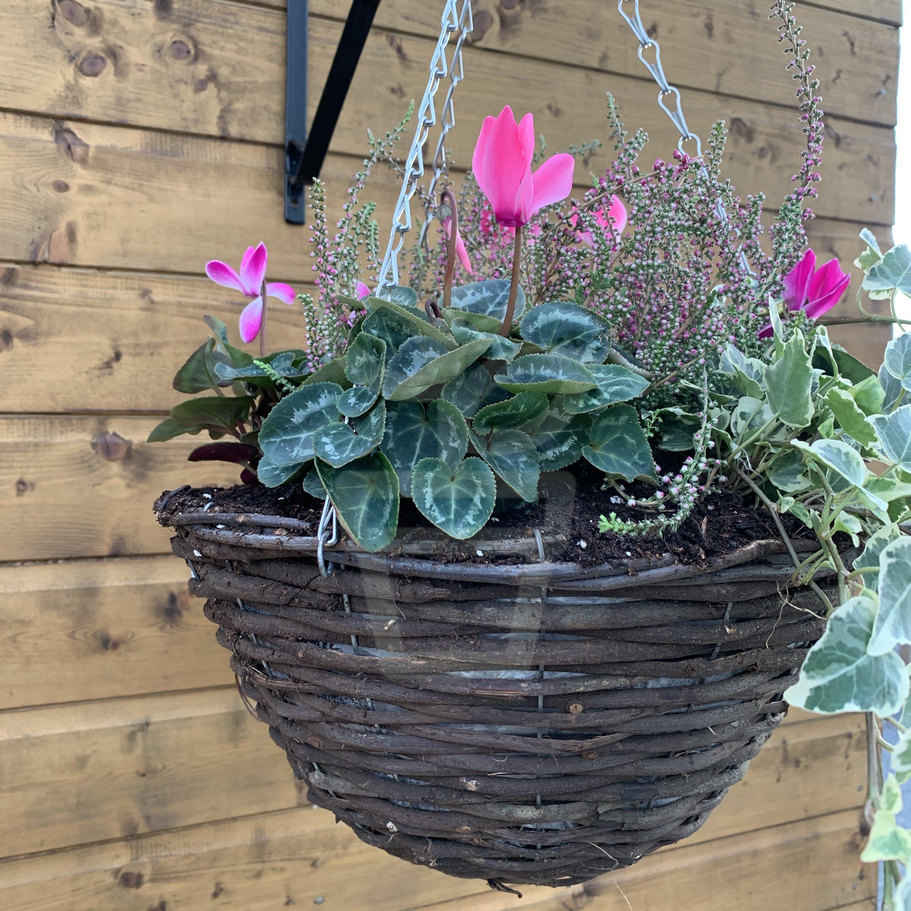 14” Deluxe Wicker Hanging Basket - Plantila