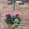 16” Deluxe Moss Hanging Basket - Plantila