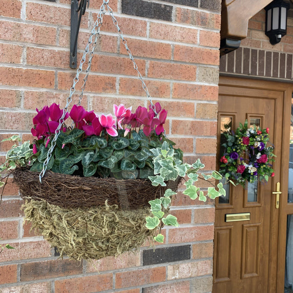 16” Deluxe Seasonal Moss Hanging Basket